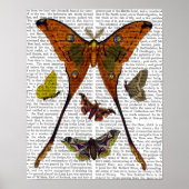 Butterfly 2 poster (Voorkant)