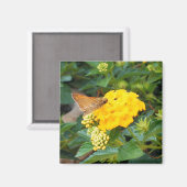 Butterfly 3 magneet (Voorkant / Achterkant)