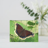 Butterfly 56 ~ briefkaart (Staand voorkant)