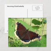 Butterfly 56 ~ briefkaart (Voorkant / Achterkant)
