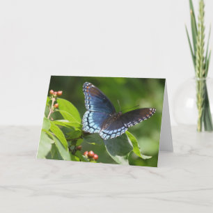 Butterfly 7 x 5 Gevouwen Wenskaart - blank Kaart