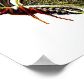 Butterfly Afbeelding 2.  Natuurgeschiedenis Afdruk Poster (Hoek)