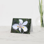 Butterfly African Iris Photo Folded Note Kaart (Voorkant)