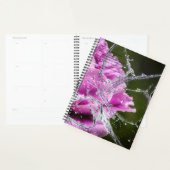Butterfly Agenda (Display)