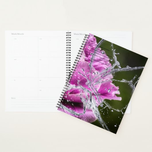 Butterfly Agenda (Display)