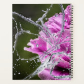 Butterfly Agenda (Achterkant)
