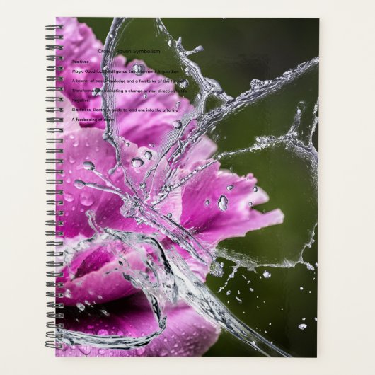 Butterfly Agenda (Voorkant)