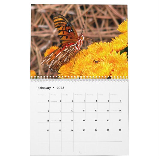 Butterfly Agenda 2023 Kalender (Feb 2026)