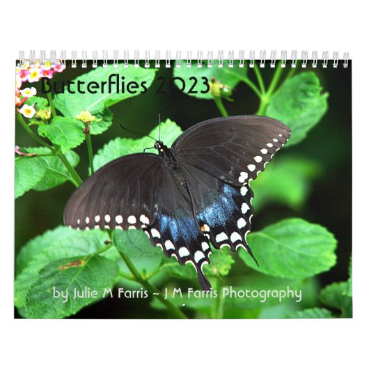 Butterfly Agenda 2023 Kalender (Hoes)