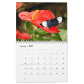 Butterfly Agenda 2023 Kalender (Jan 2027)