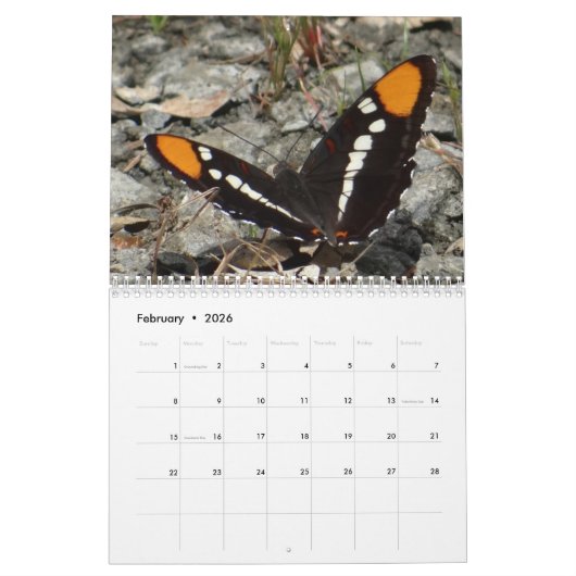 Butterfly Agenda Kalender (Feb 2026)