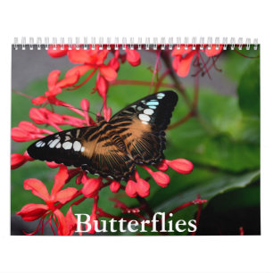 Butterfly Agenda Kalender