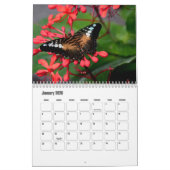 Butterfly Agenda Kalender (Jan 2026)