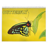 Butterfly Agenda Kalender (Hoes)