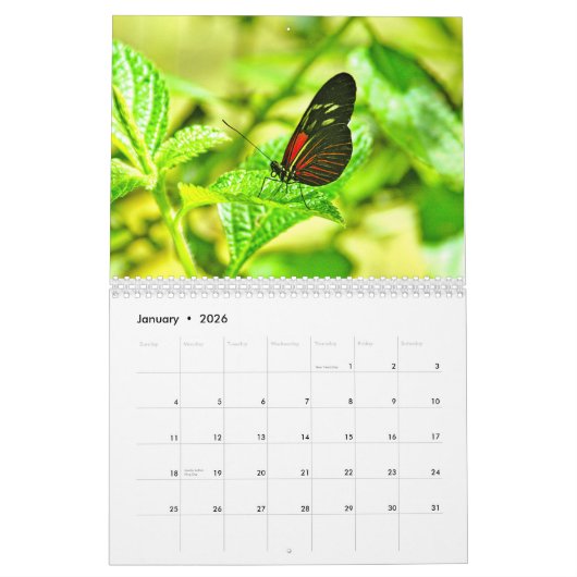Butterfly Agenda Kalender (Jan 2026)