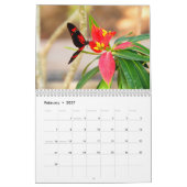 Butterfly Agenda Kalender (Feb 2027)