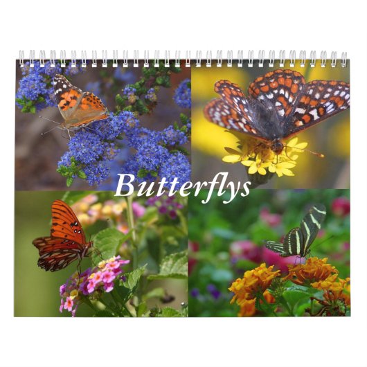 Butterfly Agenda Kalender (Hoes)