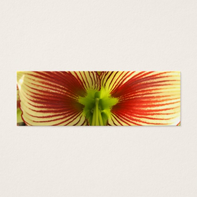 Butterfly Amaryllis Bladwijzer Mini Visitekaartjes (Voorkant)