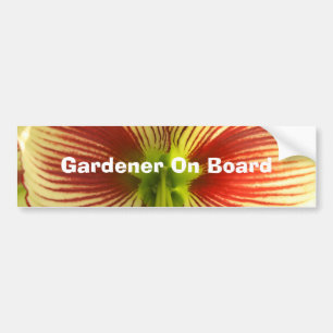 Butterfly Amaryllis Bumpersticker