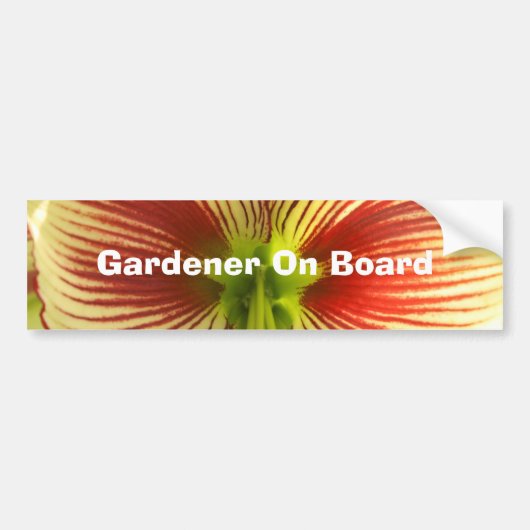 Butterfly Amaryllis Bumpersticker (Voorkant)