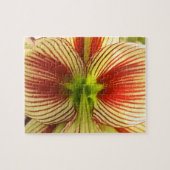 Butterfly Amaryllis Legpuzzel (Horizontaal)