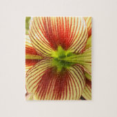 Butterfly Amaryllis Legpuzzel (Verticaal)