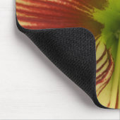 Butterfly Amaryllis Muismat (Hoek)