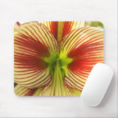 Butterfly Amaryllis Muismat (Met muis)