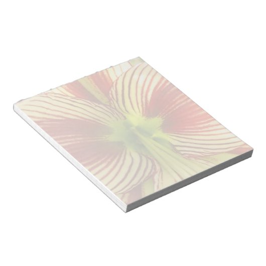 Butterfly Amaryllis Notitieblok (Schuin)