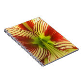 Butterfly Amaryllis Notitieboek (Rechterzijde)