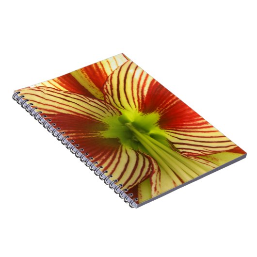 Butterfly Amaryllis Notitieboek (Rechterzijde)