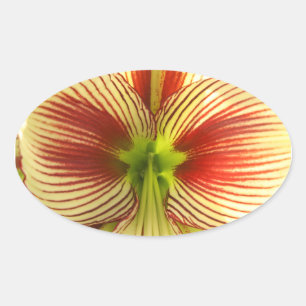 Butterfly Amaryllis Ovale Sticker