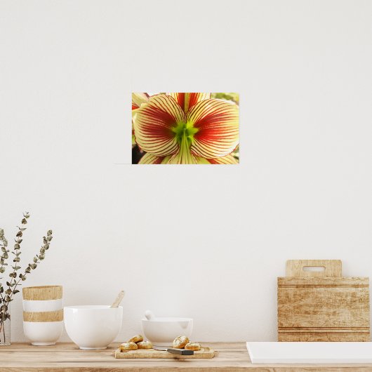 Butterfly Amaryllis Poster (Keuken)