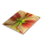 Butterfly Amaryllis Tegeltje (Zijkant)