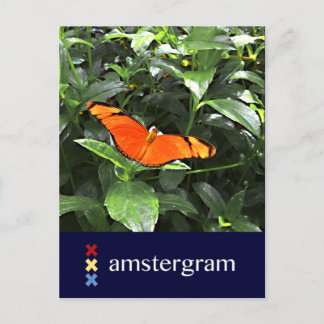 Butterfly Amsterdam Briefkaart