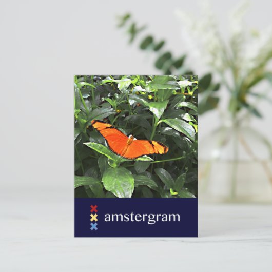 Butterfly Amsterdam Briefkaart (Staand voorkant)