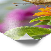 Butterfly and Flower Close-up Foto Afdruk (Hoek)