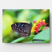 Butterfly Art Decor Plaque Fotoplaat (voorkant)
