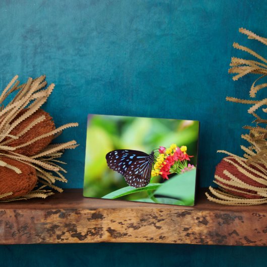Butterfly Art Decor Plaque Fotoplaat (Zijkant)