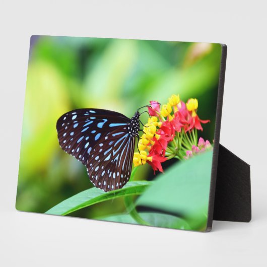 Butterfly Art Decor Plaque Fotoplaat (Zijkant)
