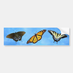 Butterfly assortiment Bumpersticker