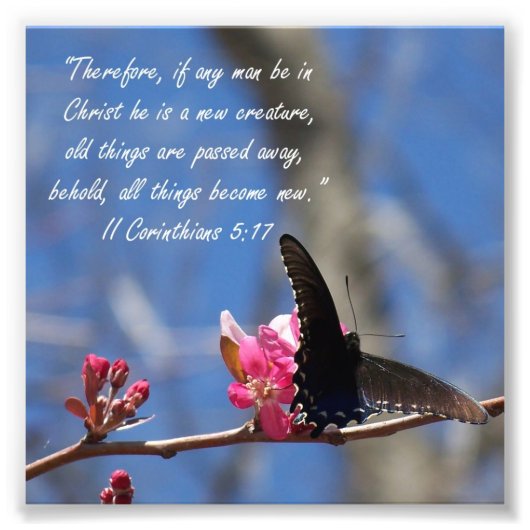 Butterfly Baptism 2 Corinthians 5:17 Verse Print Foto Afdruk (Voorkant)