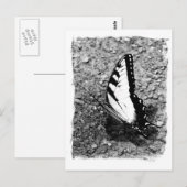 Butterfly Beauty - B&W Insect Close-up foto Briefkaart (Voorkant / Achterkant)