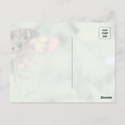 Butterfly Beauty Briefkaart (Achterkant)