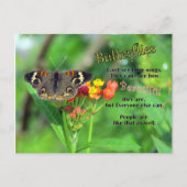 Butterfly Beauty Briefkaart (Voorkant)