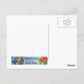 Butterfly Beauty BRIEFKAART (Achterkant)