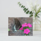 Butterfly Beauty Briefkaart (Staand voorkant)