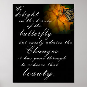 Butterfly Beauty Poster