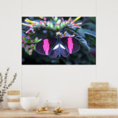 Butterfly Beauty Poster (Keuken)