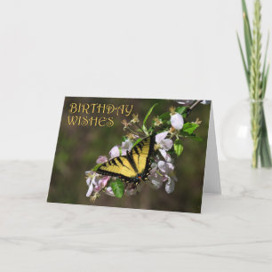 Butterfly Birthday 1 Kaart